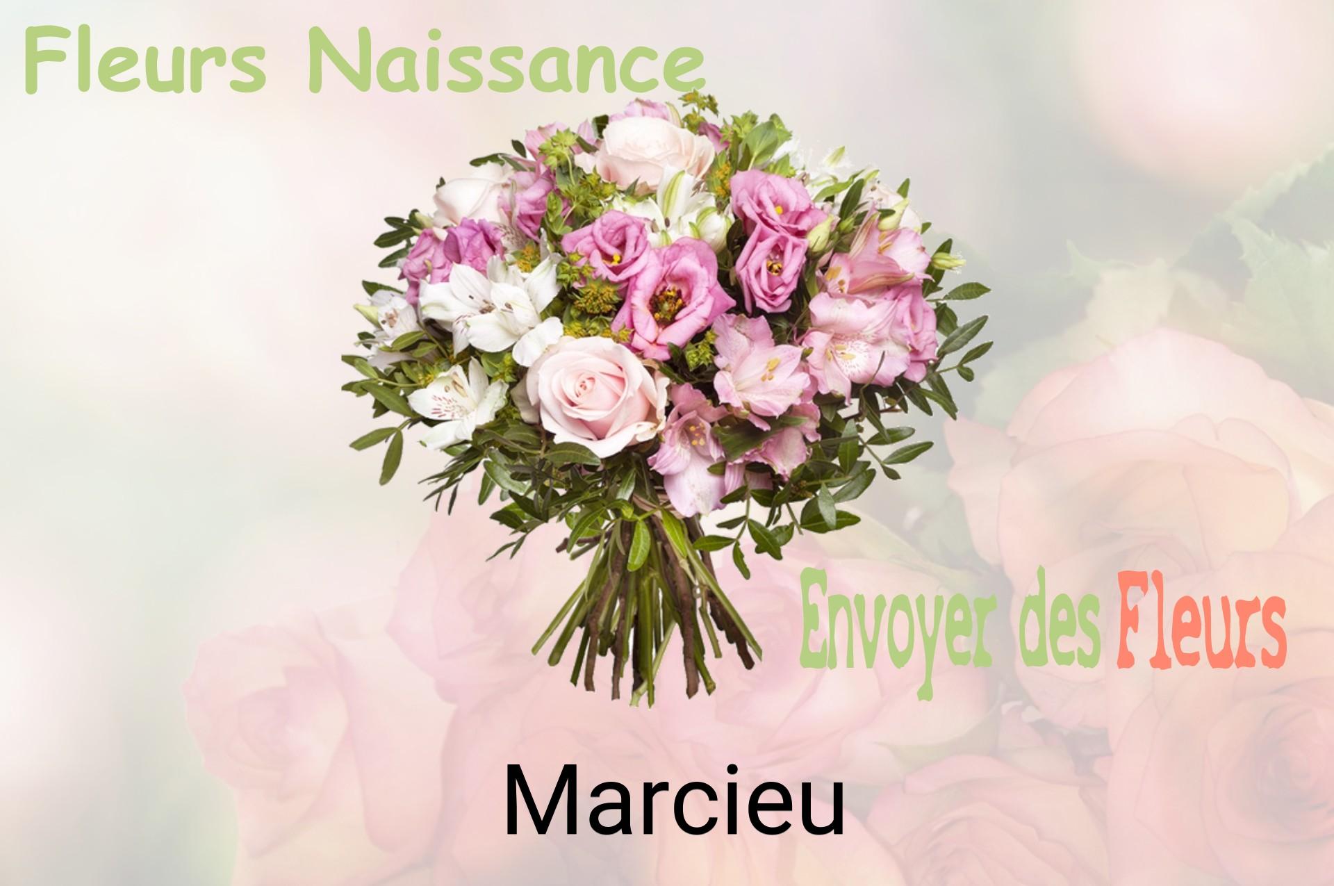 Bouquet de fleurs de naissance livré à Marcieu