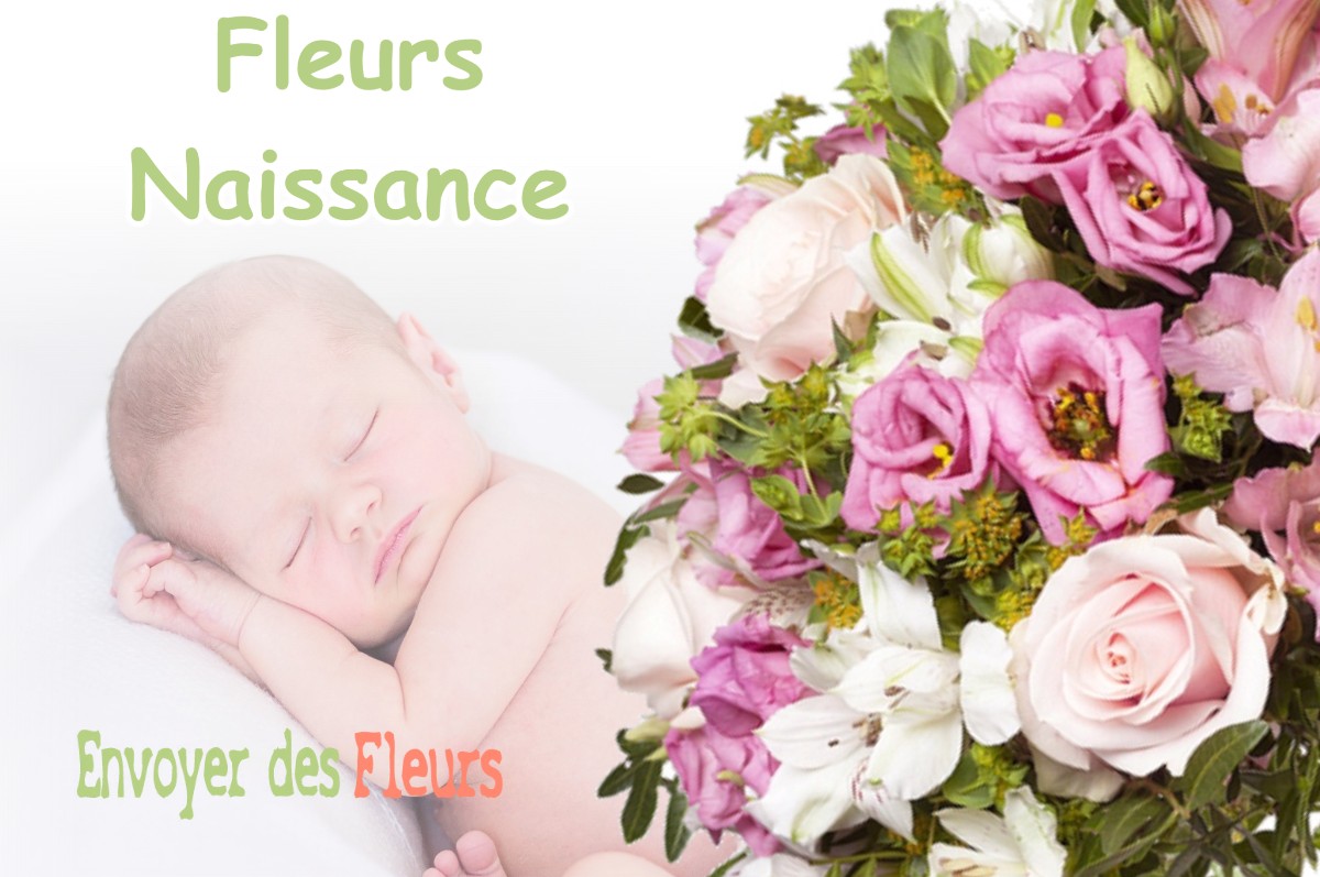 lIVRAISON FLEURS NAISSANCE à MARCIEU